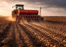 Trigo: finalizó la siembra y crecen las expectativas de rinde