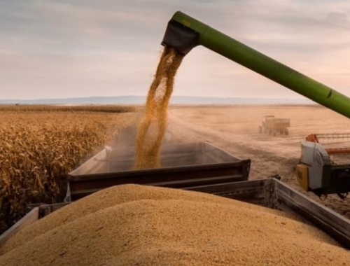 La cadena agropecuaria crece 12% y queda cerca de su récord histórico