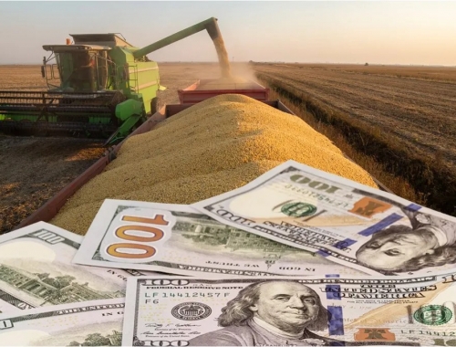 El agro aportaría US$ 35.200 millones en divisas durante 2026