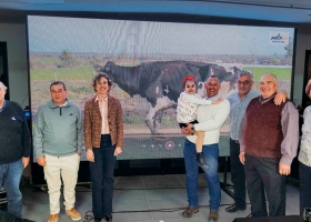 Una vaca de Entre Ríos fue la gran campeona lechera