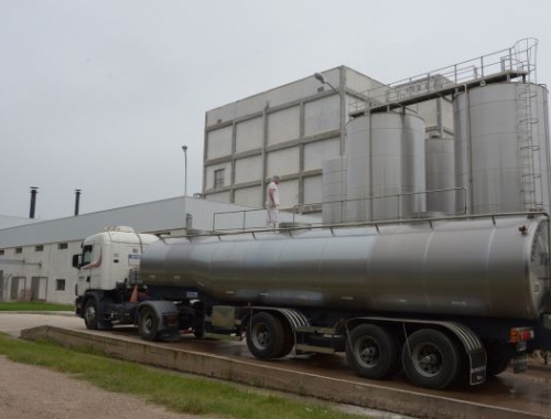 Récord lácteo: las exportaciones llegaron a 1.835 millones de litros