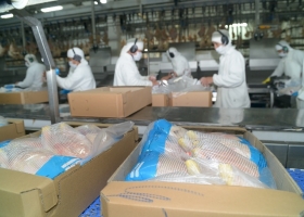 Argentina reabre el mercado de Japón para la carne aviar