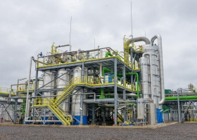 Argentina autorizó una nueva levadura transgénica para producir bioetanol