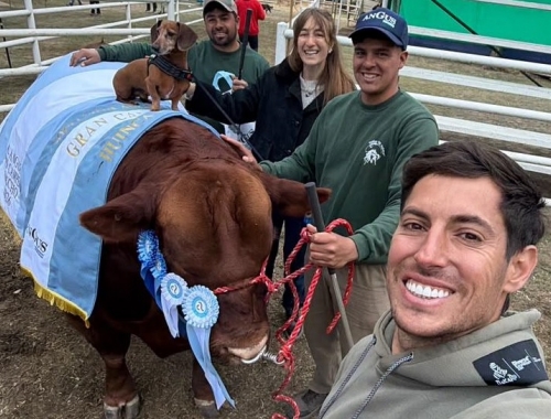 Angus y deporte: Ramón Díaz y Nicolás Cavigliasso fueron campeones con sus cabañas