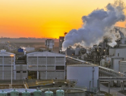 Soja: la industria aceitera vuelve a liderar el mercado