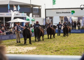 Semana Angus: 60.000 cabezas y 300 reproductores en Cañuelas