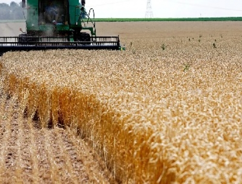 El agro proyecta 155,8 Mt y un récord de US$ 42.200 millones