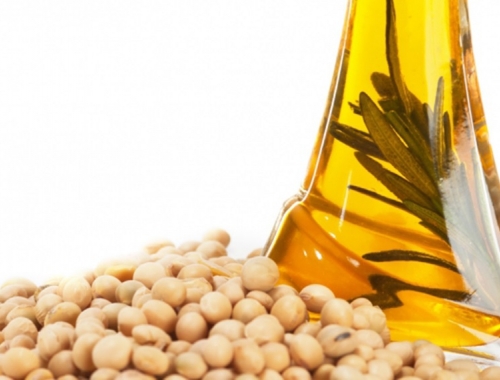 Récord para el aceite de soja argentino y nuevas oportunidades para maíz y trigo