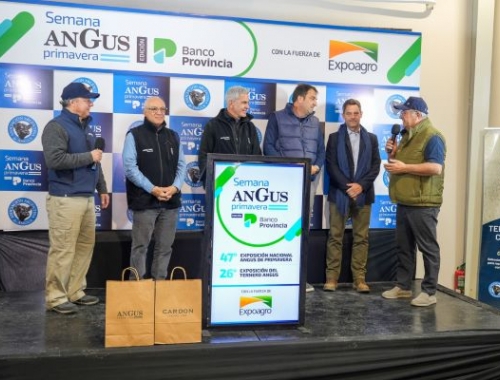 Angus de Primavera: Monasterio Tattersall vendió 4.500 cabezas en tiempo récord