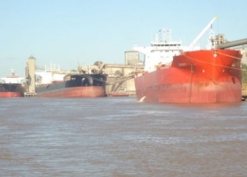 Soja: el precio argentino gana competitividad frente a EE.UU. y China vuelve a ser clave
