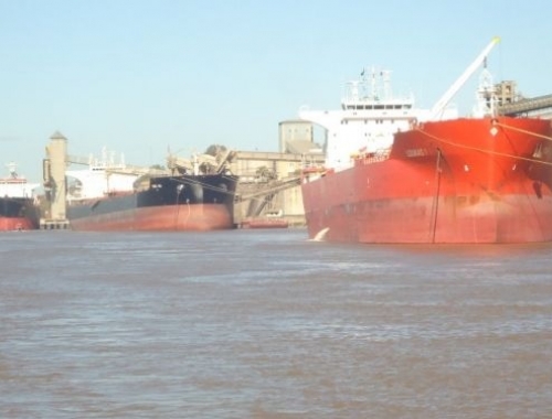Soja: el precio argentino gana competitividad frente a EE.UU. y China vuelve a ser clave