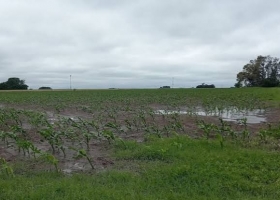 Lluvias en Córdoba: los acumulados fueron muy heterogéneos