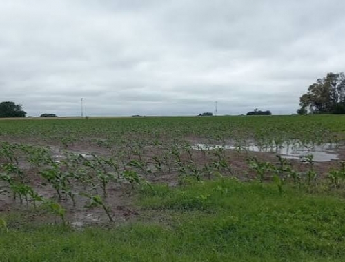 Lluvias en Córdoba: los acumulados fueron muy heterogéneos