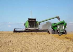 Exportaciones de trigo: septiembre marcó un récord