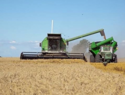 Exportaciones de trigo: septiembre marcó un récord