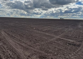 Siembra directa: cayó al 80,6% el área agrícola en 2025/26