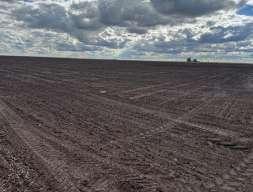 Siembra directa: cayó al 80,6% el área agrícola en 2025/26