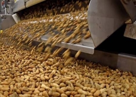 Brasil amplía su ventaja sobre Argentina en molienda de oleaginosas