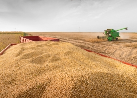 Harina de soja argentina: logra una prima de US$6 por la demanda europea