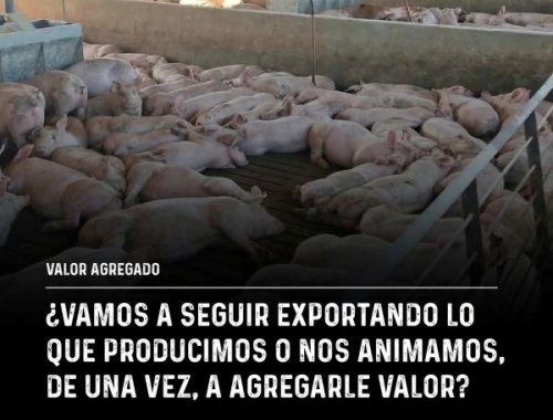 ArgenCarne 2026: el desafío de Argentina de agregar valor a la carne