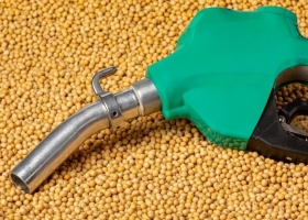 Biocombustibles: el nuevo motor que cambia el mercado de la soja y el maíz