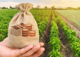 Campaña 2026/27: cuánto cuesta financiarse para producir en el campo