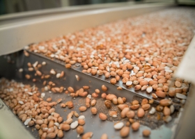 Exportaciones agroindustriales: Argentina bate récord con 88,9 millones de toneladas