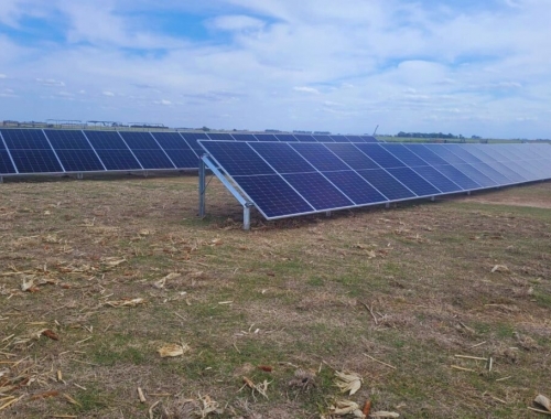 Riego solar: una alternativa para campos sin electricidad