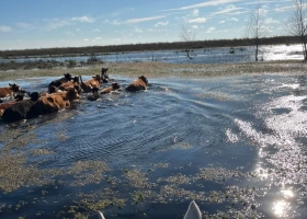 El Niño golpea al campo y crece el reclamo por las retenciones