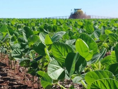 Comenzó la siembra de soja temprana en Santa Fe: prevén 1,1 millones de hectáreas
