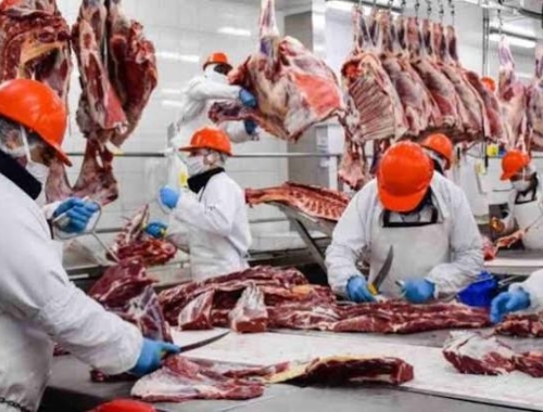 Exportaciones de carne vacuna: crecieron 7% interanual en 2026