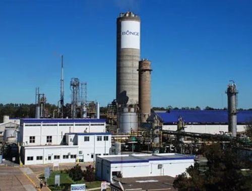 Bunge cerró una planta en Campana y afecta a 110 trabajadores
