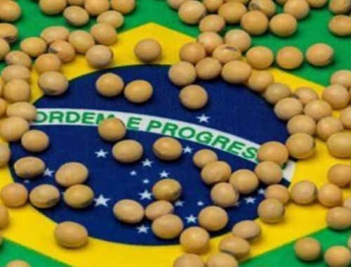 Súper Niño: Brasil podría perder 17,6 millones de toneladas de soja