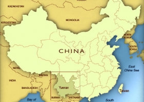 CHINA SERÁ EL MAYOR IMPORTADOR MUNDIAL 