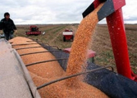 Brasil relega a la Argentina como segundo exportador de maíz