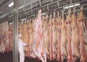 Paraguay exportó un 50% más de carne bovina que hace un año