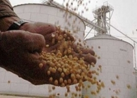 Evalúan usar la ley antiterrorista para forzar a productores a vender granos