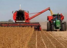 La Bolsa ahora calcula que la cosecha de soja será de 48.3 M de toneladas