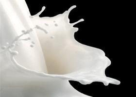 Los lecheros quieren U$S 0,46 por litro de leche
