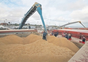 Un diputado denunció que el Gobierno ingresa trigo ilegal en el límite con Uruguay