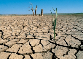 Provincia llama a emergencia agropecuaria por el impacto de la sequía