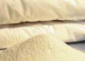 Argentina ya exporta 1 tn de derivados de lactosuero por cada 2,5 tn de leche en polvo