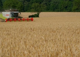 El campo pedirá financiamiento y la liberación del mercado de trigo