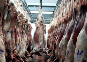 Exportadores brasileños de carne esperan récord de ventas para el 2014