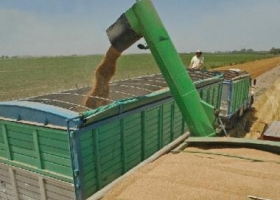 Pérdidas de granos por transporte en camiones