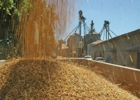 La baja calidad de los granos le costó a la industria sojera u$s 400 millones
