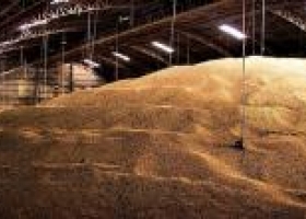 China dejará de almacenar soja