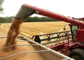 Se concretó la primera exportación de trigo nuevo: 26.000 toneladas a Brasil