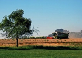 La producción mundial de cereales 2013/14 aumentaría 10%