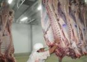 Trabajadores de la carne en plan de lucha